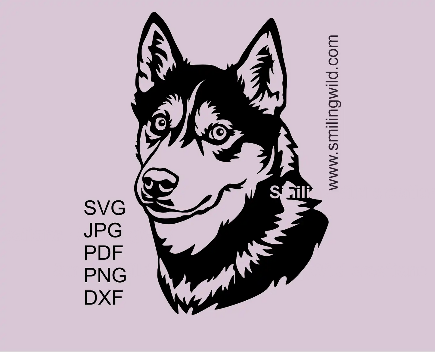 Husky dog face with curious eyes presenting a dog breeds SVG vector art cut file design preview