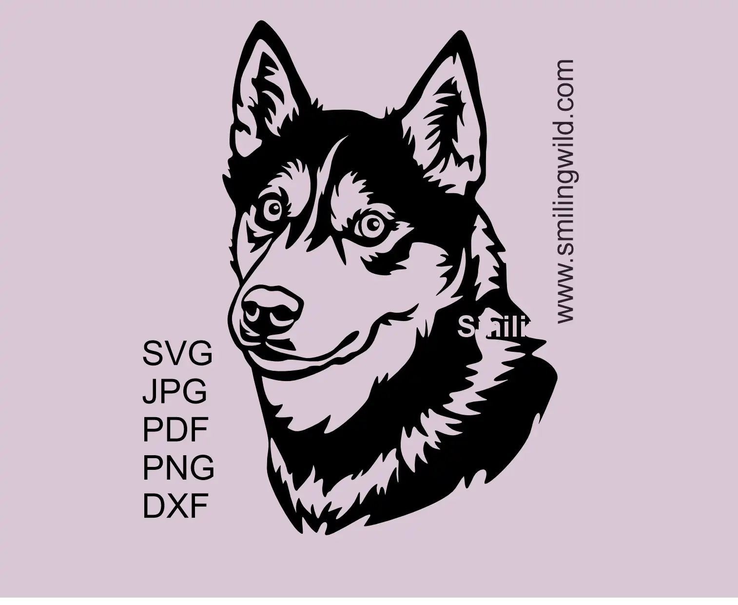 Husky dog face with curious eyes presenting a dog breeds SVG vector art cut file design preview