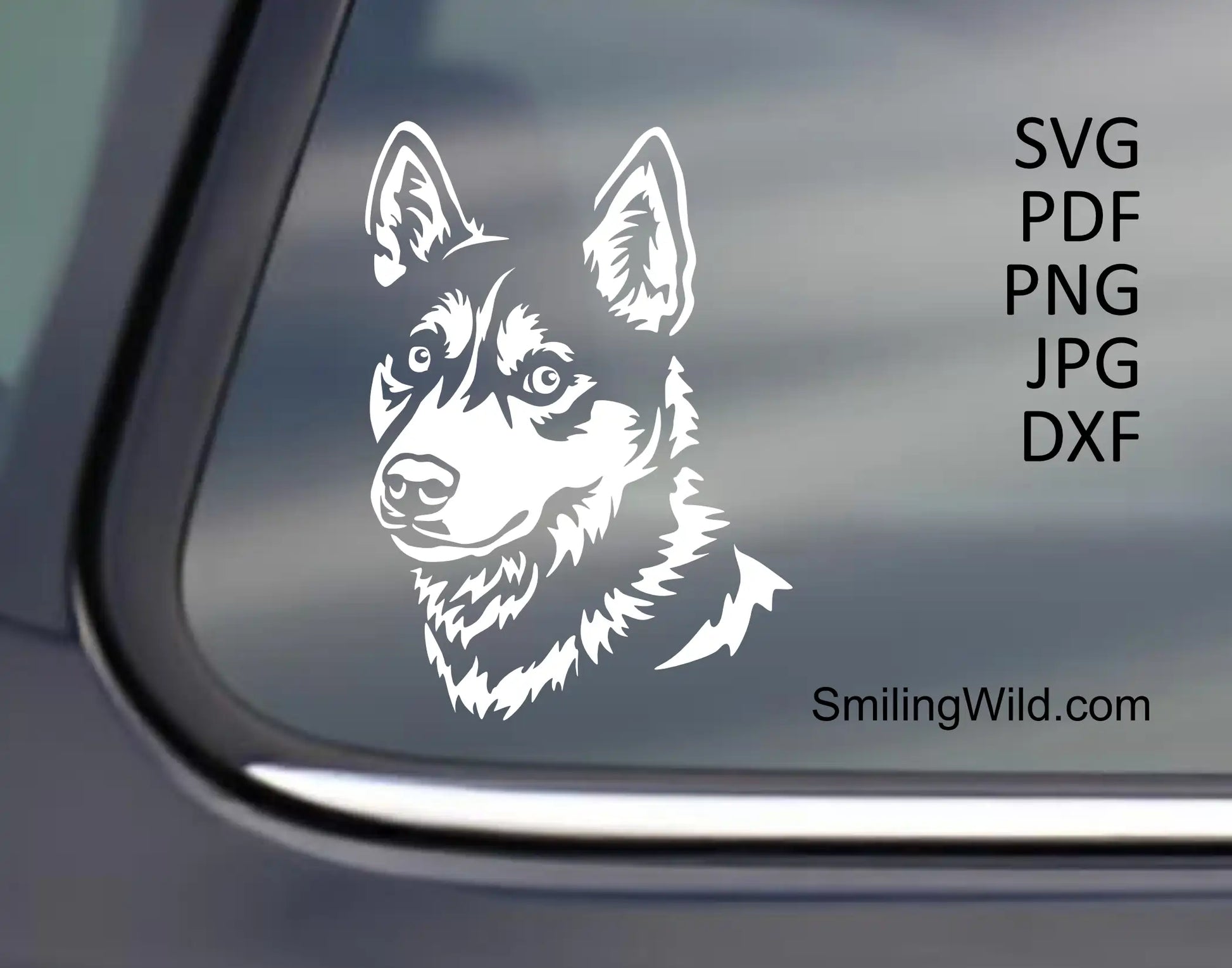 husky digital drawign showcasing a dog's face cut file availale im dxf, svg and png files for mechanical machines and laser