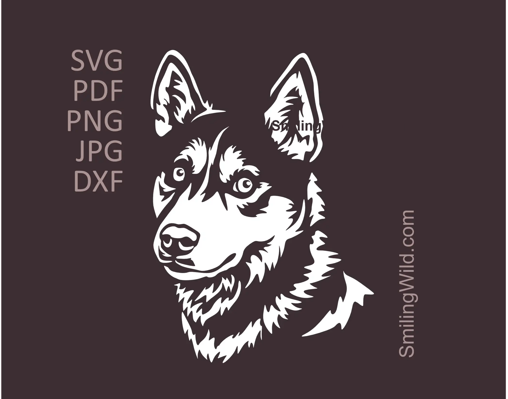 Husky curious face in white color image presenting a svg, png dxf clipart design for cutting