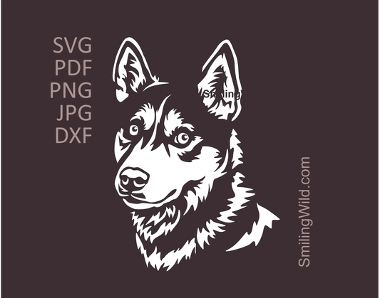 Husky curious face in white color image presenting a svg, png dxf clipart design for cutting
