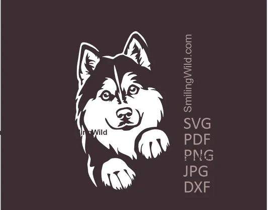 Peeking Husky dog head white SVG PNG DXF vector graphic for Cricut, laser cutting, and digital craft projects  - hte dog is showing his paws