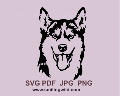 husky graphic drawing for clip art