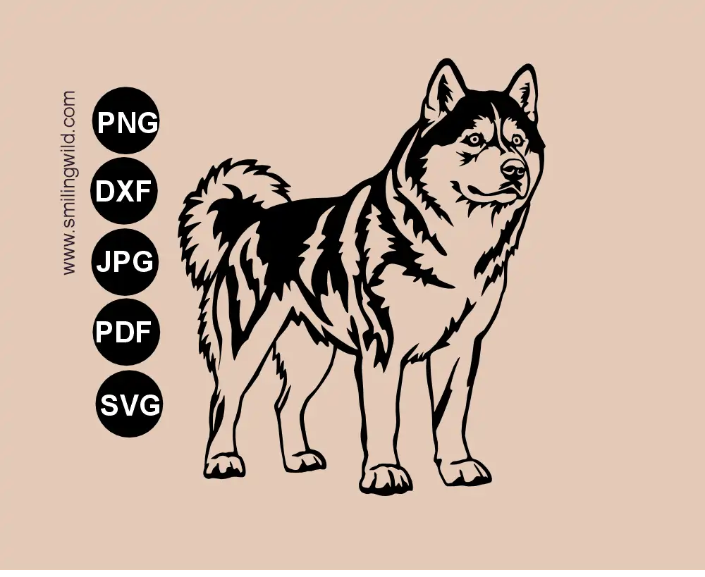 A full body standing husky dog SVG Vector graphic cut file presentation image showing a dog with alert expression
