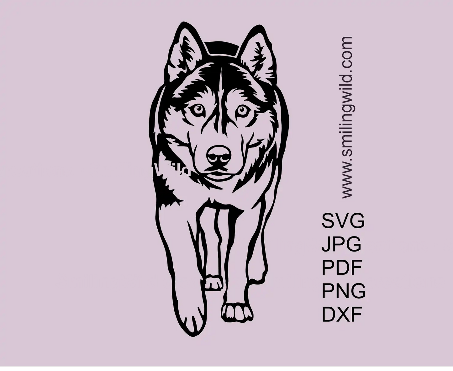 Walking Husky SVG image presenting a full-body dog vector clipart cut file design with png and dxf files included
