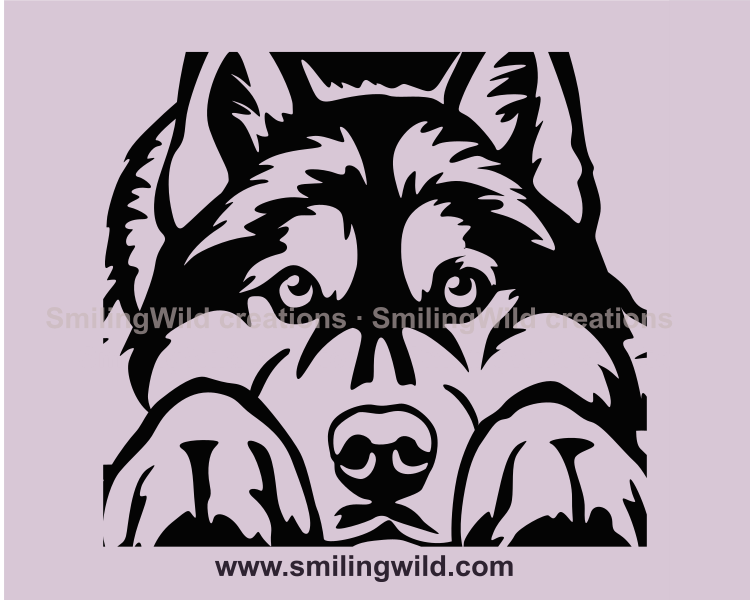 lying husky with head on his paws s made in vector line art