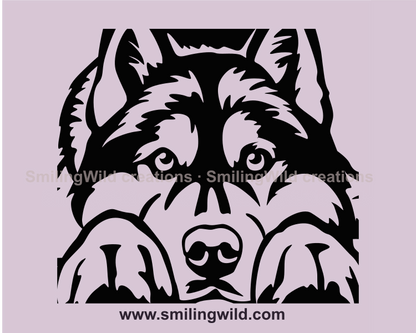 lying husky with head on his paws s made in vector line art