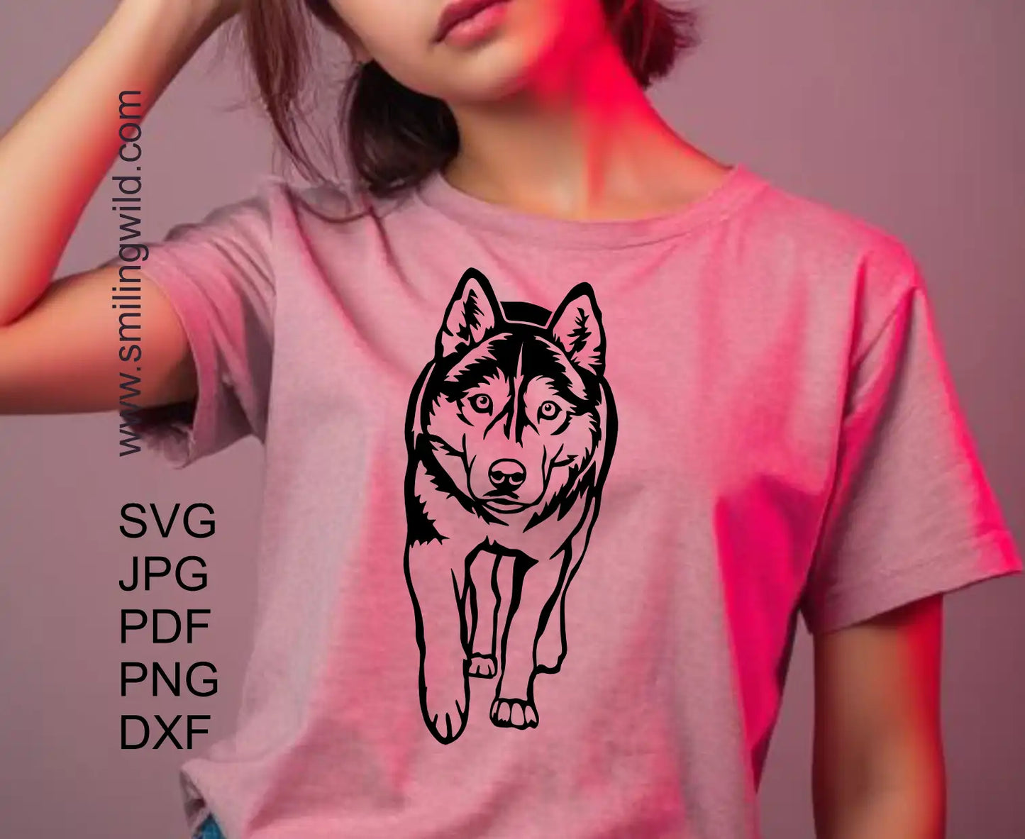 Husky vector graphic illustration to present  SVG full body dog