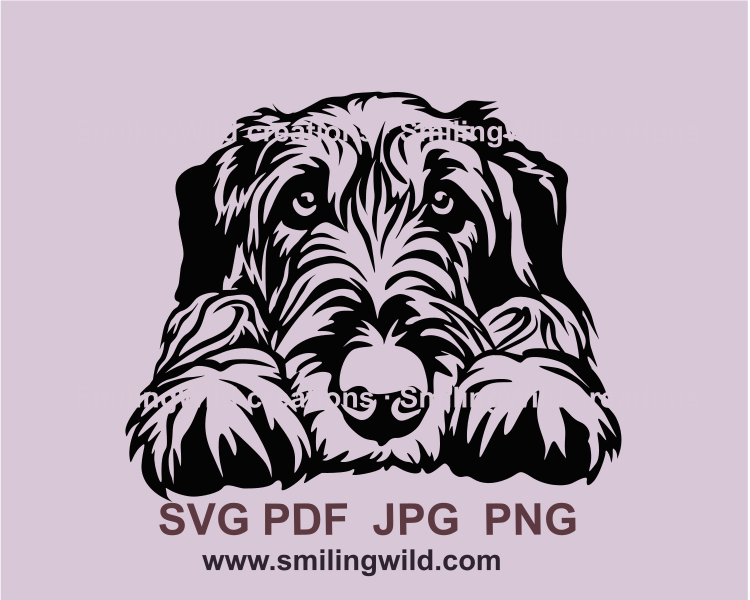 Peeking irish wolfhound clip art graphic design sample. The dog has laid his head on his paws.