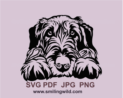 Peeking irish wolfhound clip art graphic design sample. The dog has laid his head on his paws.