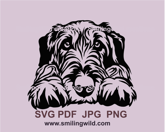 Peeking irish wolfhound clip art graphic design sample. The dog has laid his head on his paws.