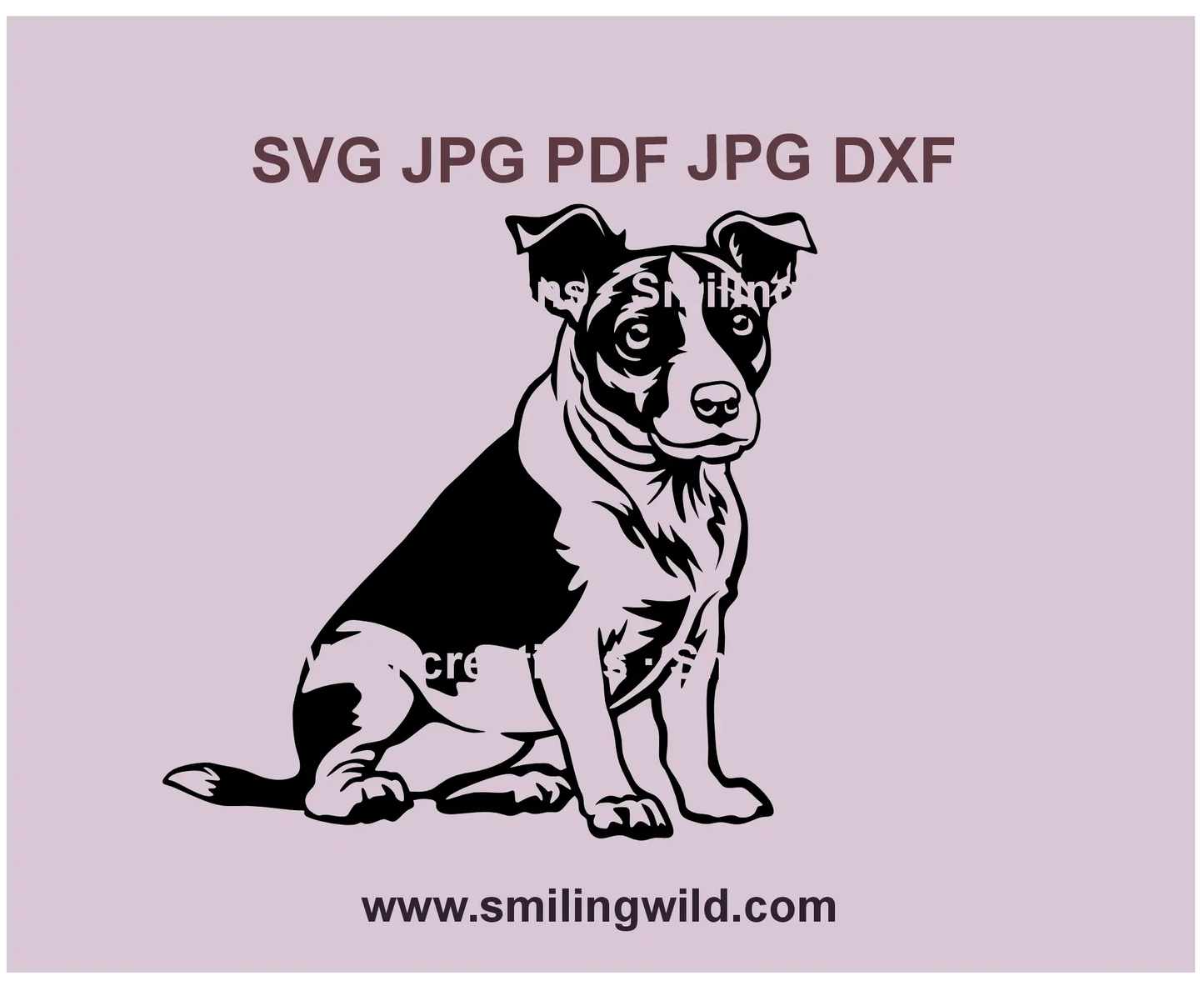 Realistic Jack Russell Terrier SVG cut file for Cricut and laser engraving, perfect for crafting and DIY projects