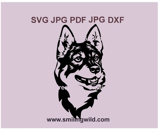 Jämthund SVG PNG DXF – Swedish Elkhound hunting dog vector clipart for Cricut, Silhouette, and engraving