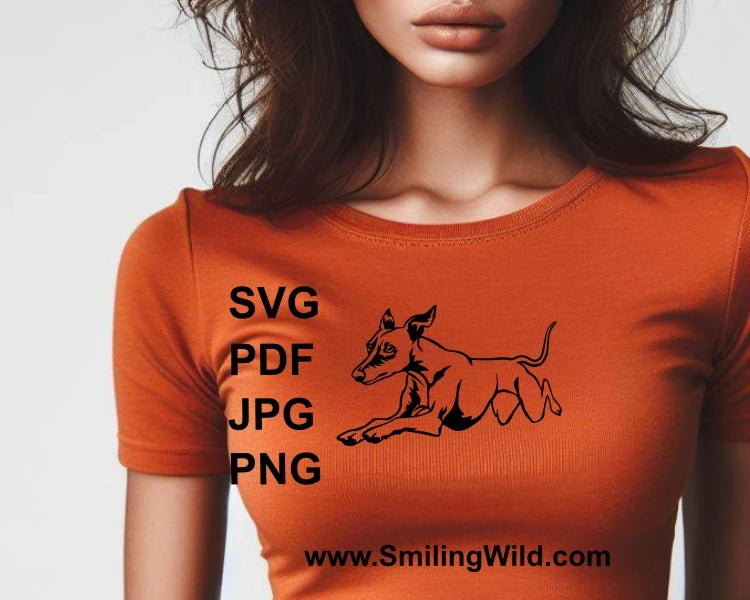 Woman in orange t shirt with whippet design printed on the chest