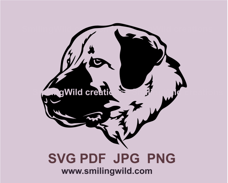 Kangal portrait made in black clip art graphic style