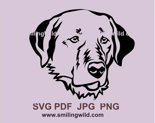 kangal face black graphic portrait