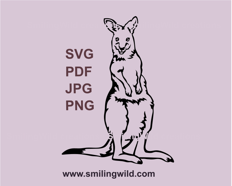 A kangaroo clip art design of australian animal collection