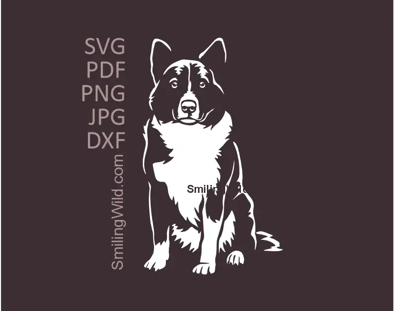 karelian Bear dog in sitting position White vector drawing in svg png and dxf files made for cutting clipart DIY crafts