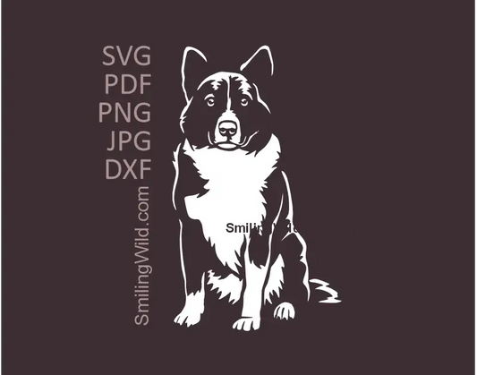 karelian Bear dog in sitting position White vector drawing in svg png and dxf files made for cutting clipart DIY crafts