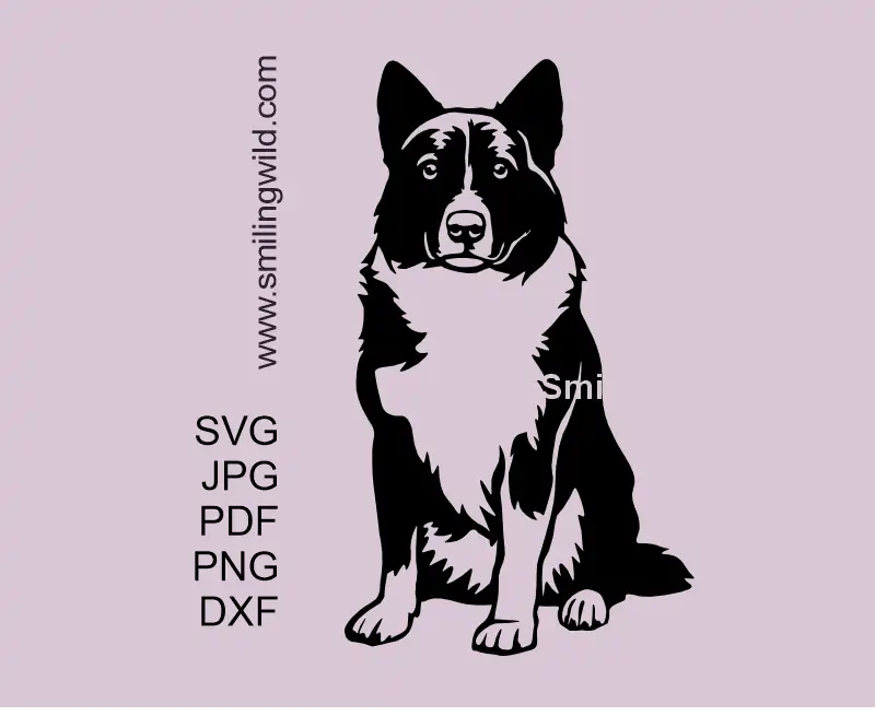 A sitting Karelian Bear Dog SVG PNG DXF digital vector clipart of a Finnish hunting dog llustration