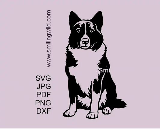 A sitting Karelian Bear Dog SVG PNG DXF digital vector clipart of a Finnish hunting dog llustration