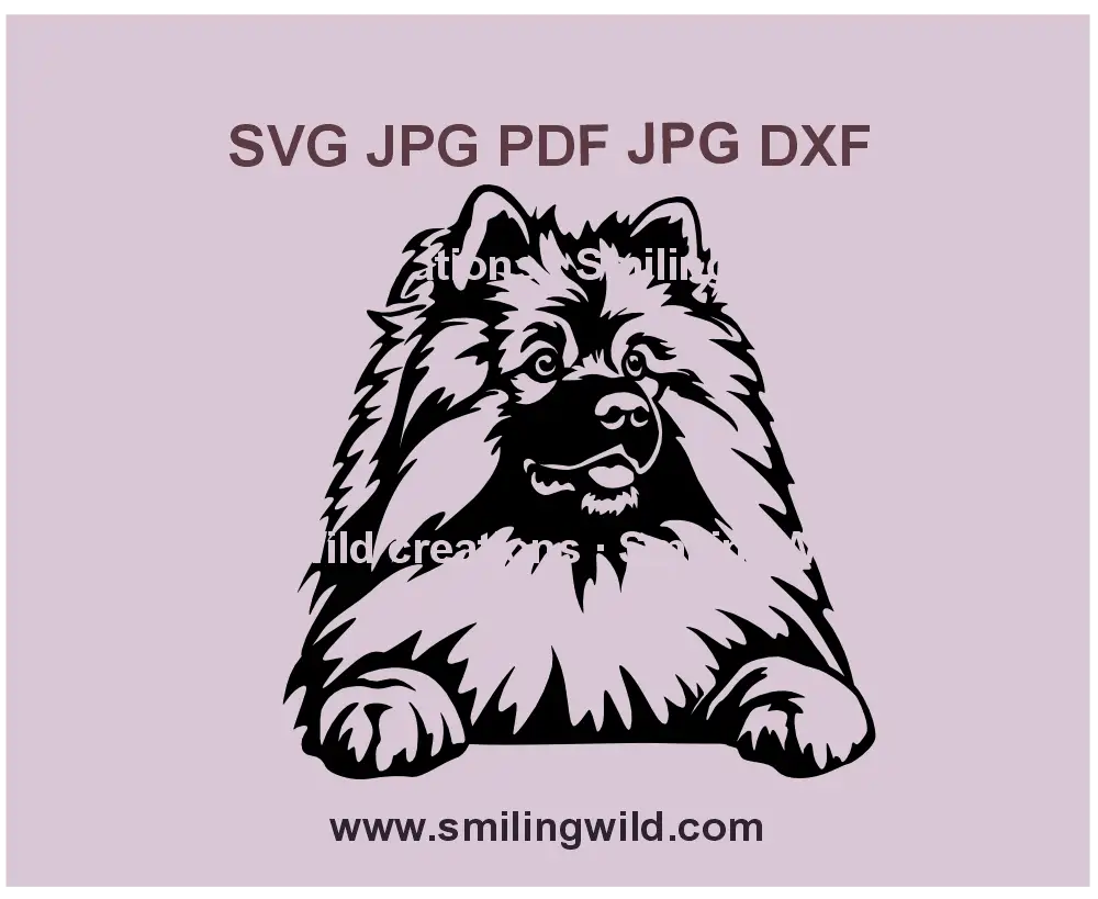 Keeshond dog breed SVG vector clipart – Realistic digital design for Cricut cutting and laser engraving
