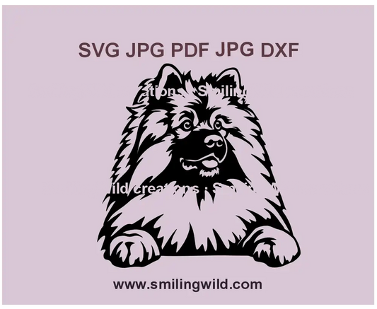 Keeshond dog breed SVG vector clipart – Realistic digital design for Cricut cutting and laser engraving
