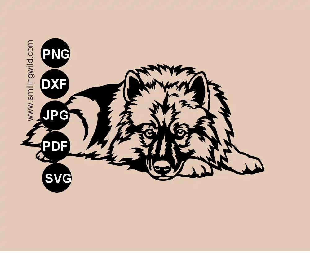 A fullb ody lying Keeshond svg vector cut file illustrating a Wolfspitz dog breed