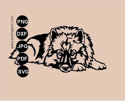 A fullb ody lying Keeshond svg vector cut file illustrating a Wolfspitz dog breed