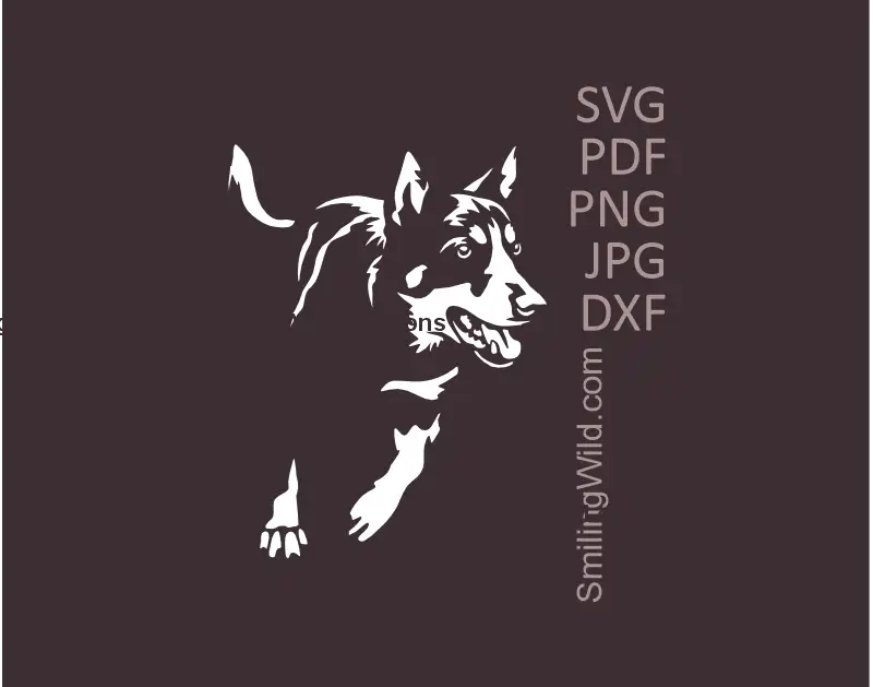 A vector graphic drawing of a working Kelpie in white SVG PNG DXF clipart design for Cricut, Silhouette, and laser cutting projects