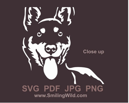 smiling australian kelpie face graphic art