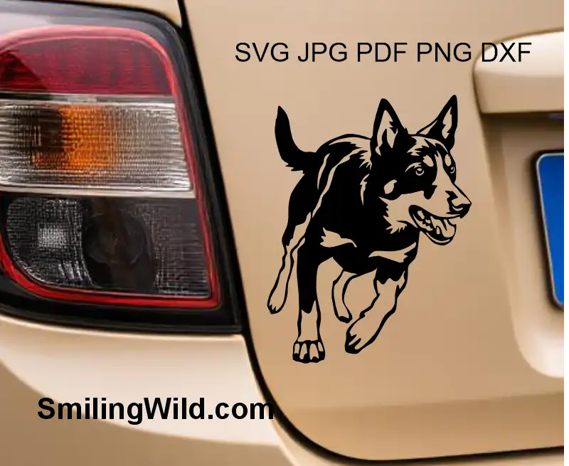 A car decal representing the Kelpie dog - herding breed from Australia digital clipart 