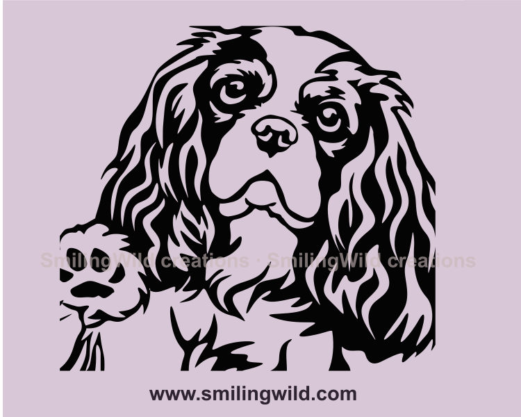 peeking cavalier king charles spaniel in vector clip art style