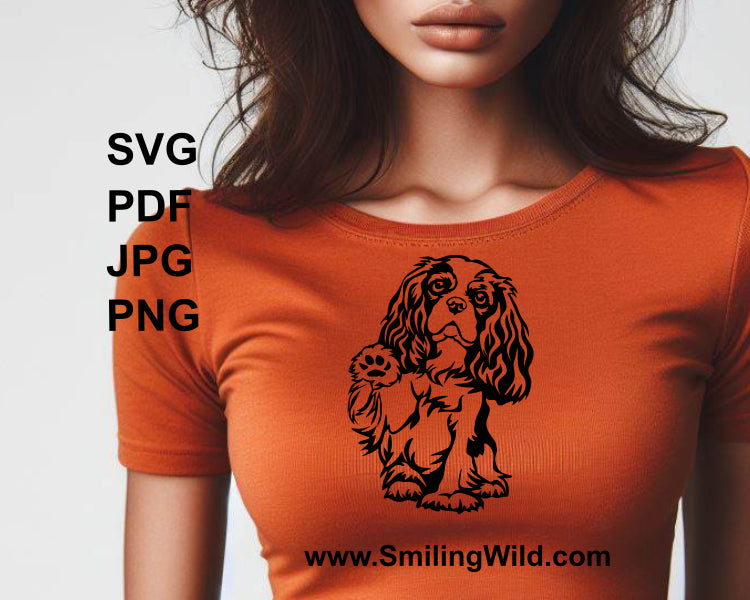 peeking cavalier king charles spaniel printes on a t shirt