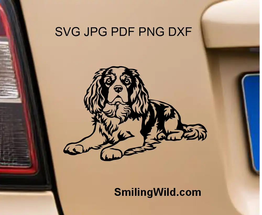 King Charles spaniel svg and png graphic clipart digital drawing showing the dog in lying position visualized as a car decal Cricut cutting file
