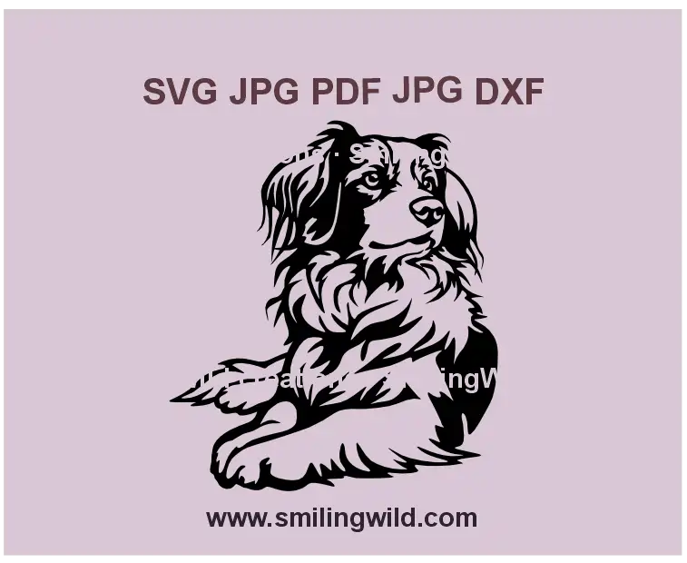 Cute Kooikerhondje digital download SVG clipart – detailed full-body vector image for Cricut, laser cutting, and engraving projects