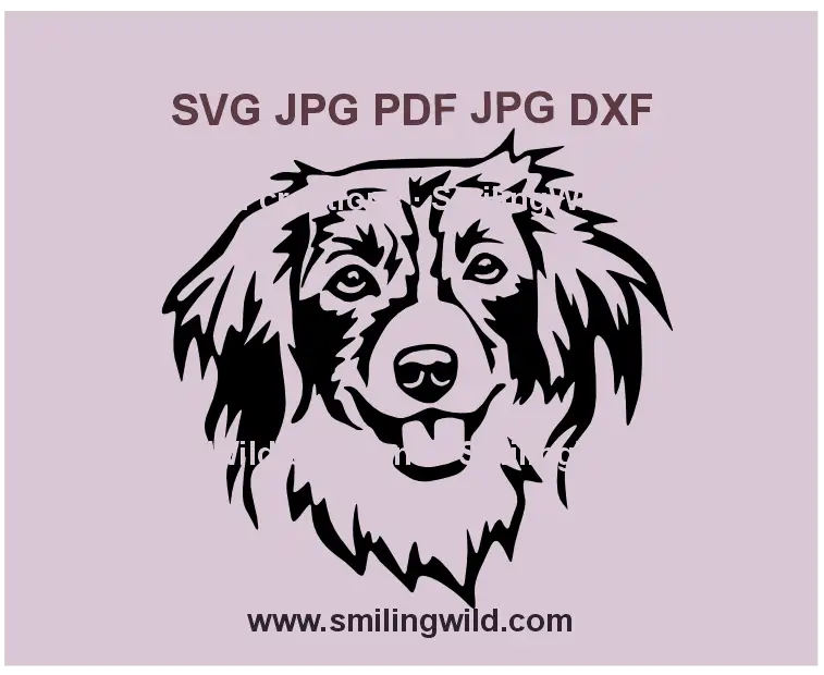 Smiling Kooikerhondje hunting dog SVG digital download for Cricut and laser cutting projects