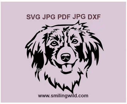 Smiling Kooikerhondje hunting dog SVG digital download for Cricut and laser cutting projects