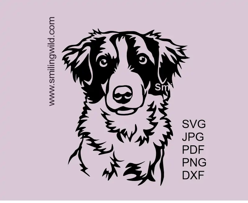 Kromfohrländer frontal face in SVG PNG DXF Vector Graphic Clipart for crafting. German dog cutting file optimized for Cricut, Silhouette and other craft devices  - laser, engraving.