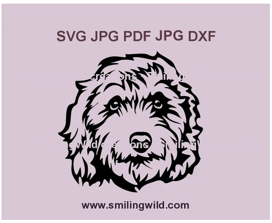 Labradoodle face SVG, png and dxf for Cricut – vector graphic for personalized pet projects and gifts