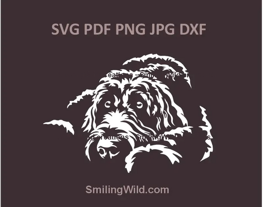 White Labradoodle dog lying down – SVG vector clipart for laser cutting or Cricut crafts