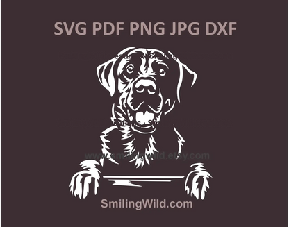 Labrador Retriever SVG, PNG, DXF digital file – black and white lab vector clipart for Cricut and laser cutting projects.