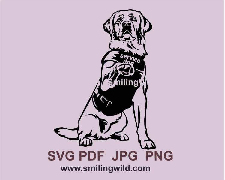 Service Labrador retriever in style of black graphic design