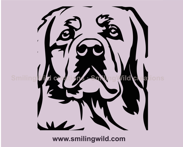 Labrador face in graphic image close up