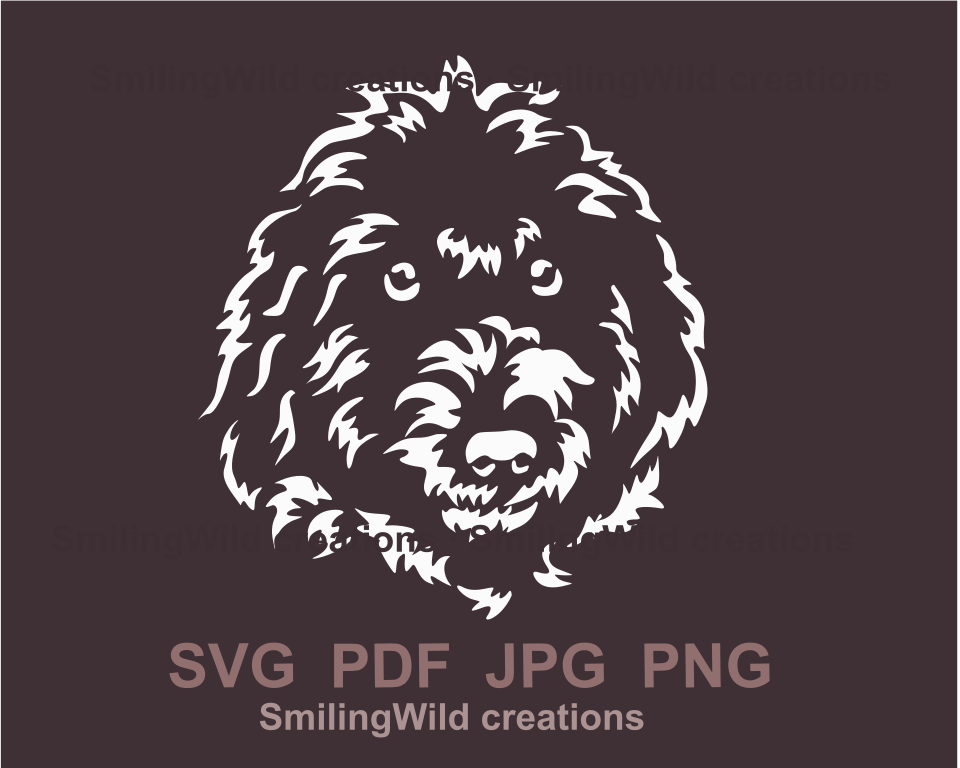 White drawong of lagotto romagnoli in digital style