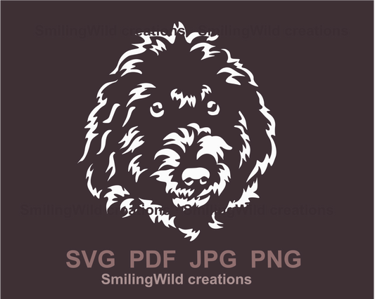 White drawong of lagotto romagnoli in digital style