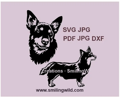 Lancashire Heeler dog vector graphic clipart for Cricut and laser cutting - SVG PNG DXF