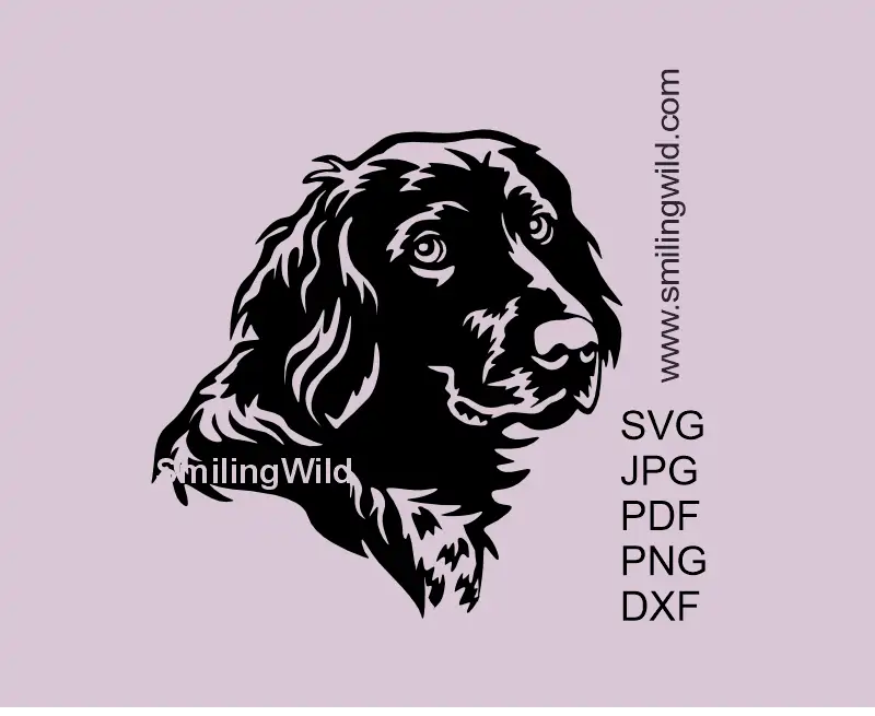 A cutting file of a large munsterlander dog in svg png and dxf clipart file formats. 