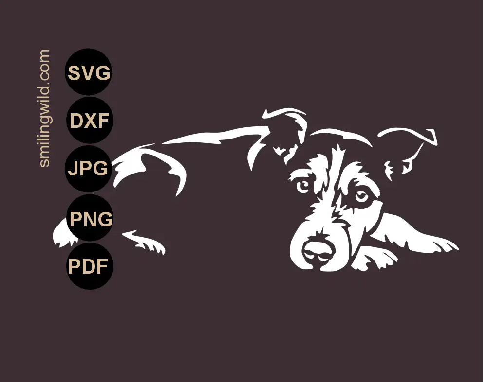 Jack Russell terrier dog white SVG, png and dxf vector cut file shown as a stencil graphic template on a dark background. The dog is looking towars camera with it's head layed on the paws.