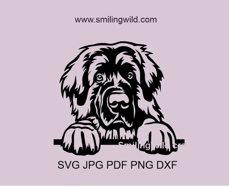 A graphic cutting image of a peeking leonberger dog coming in svg,png, dxf, jpg and pdf vector cliprat files to make them available to use on varios devices and fornumerous needs.
